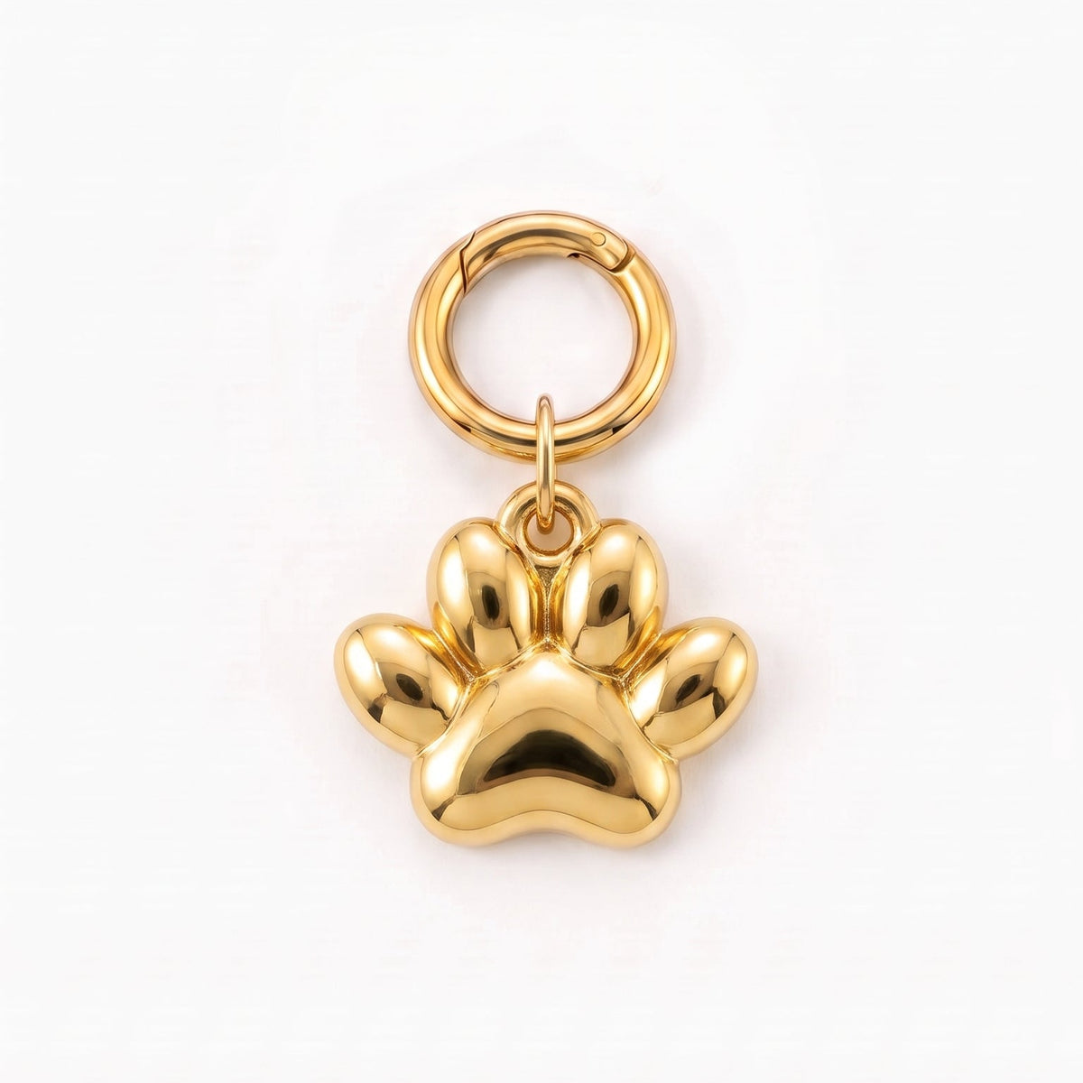 Pawfect Love Charm